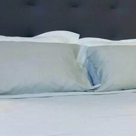 Riviera Palace 3*
